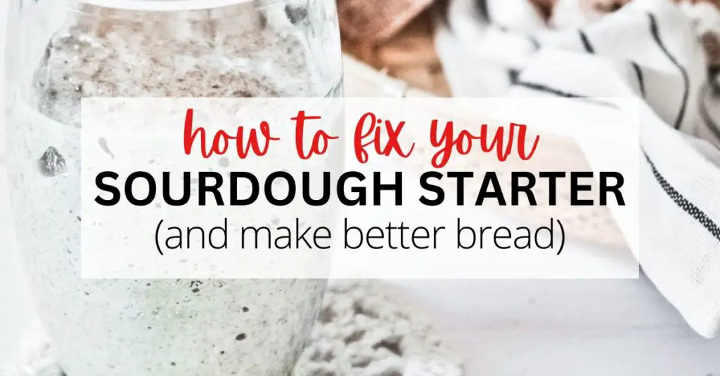 Learn how to fix your sourdough starter with these helpful bread-making tips