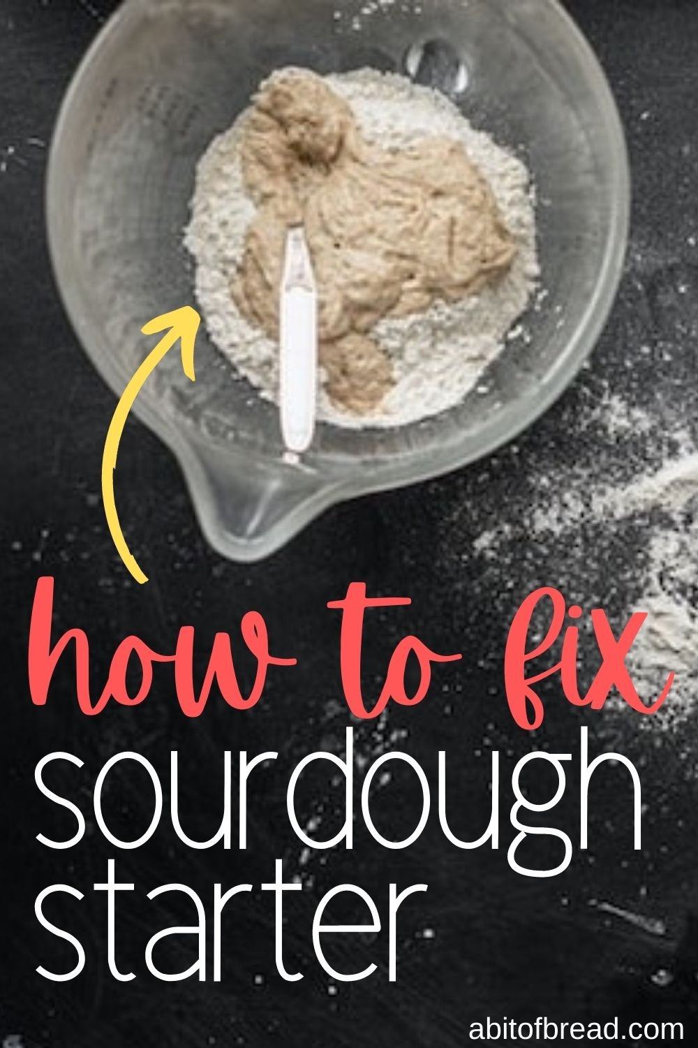 Troubleshooting Your Sourdough Starter | Bread Hacks & Tips ...