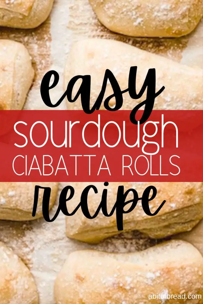 Learn how to make sourdough ciabatta bread rolls the easy way using just these simple ingredients.