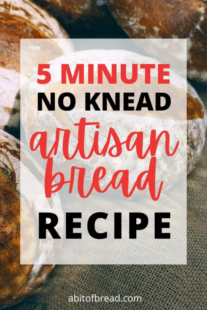 An easy 5 minute no knead bread recipe to get delicious homemade artisan bread, without a lot of time and effort. 